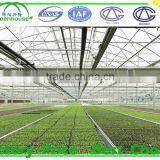 Large Size and Glass Cover Material Low Cost Greenhouse thumbnail-6