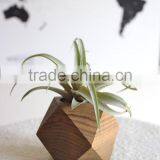 Teak Wood Planters thumbnail-2