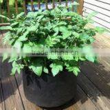 Nonwoven Fabric Raised Bed for Flowers (1 Gal to 1200 Gal) OEM Smart Pots thumbnail-6