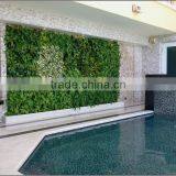 Artificial Green Plant Wall for Partition Wall Decoration thumbnail-5