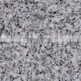 Bianco White Granite Slab Hot sale Stone Granite Slab Price