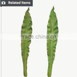 2017 Hot Sale Leaves Long and Green Leaves Wall Decoration Leaves Artificial Leaves thumbnail-6