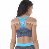Hot Sale Custom Sexy Seamless Padded Breathable Women Sports Bra thumbnail-2