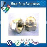 Made in Taiwan Various Type of Cap Nut thumbnail-6