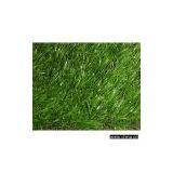 Landscape Turf thumbnail-1