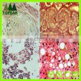 Laboratory Research Human Histology Prepared Microscope Slides educational prepared slides