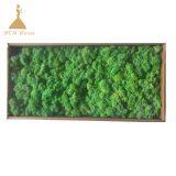 Hot Selling Green Moss Grass Wall for Decoration thumbnail-4