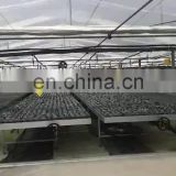 the cheapest agricultural hot sale plastic film greenhouse
