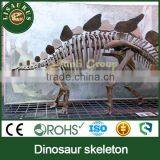 JLDF-0184 Ancient Buried Dig Dinosaur Fossil Model