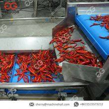 Завод горчицы Gelgoog Factory. Линия производства горчицы