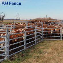 Rust-Defying Cattle Panel: Multi-Layer Protective Finish Ensures Decades of Service in Harsh Environments thumbnail-1