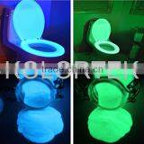Glow In The Dark Pigment Powder For Toilet-seat Paint thumbnail-1