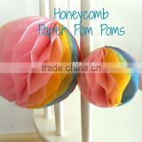 Honeycomb Tissue Ball Party Supplies Decoration