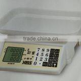 New model electronic digital weighing scale