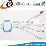 4 in 1 Lighting Type C Cable Manufacturer