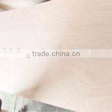 12MMX1220X2440 Poplar Core Hardwood Core Okoume Face BB/CC Grade Competitive Price Commercial Plywood thumbnail-5