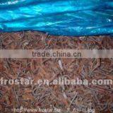 Top Sale Frozen Black Fungus 2012 thumbnail-1