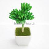 Artificial Plants Succulent Plant Type and PE Foam Material Mini Artificial Plants thumbnail-5