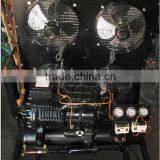 Cold Room Compressor and Condensing Unit With Newest Design thumbnail-4