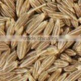 Cumin Seed EU 99.5% thumbnail-1
