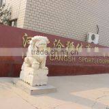 Hebei Cangshi Culture & Sports Equipment Co., Ltd. company overview - view 1 thumbnail