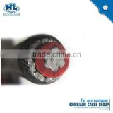 xlpe aluminum cable AI/XLPE/PVC 6AWG Concentric Cable