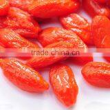 Goji Berry Price, Dried Organic Goji Berry thumbnail-2