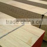 Radiate Pine Lvl Scaffolding Plank thumbnail-3