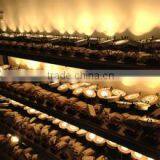 Shenzhen Lifong Technology Co., Ltd. company overview - view 2 thumbnail