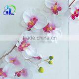 Manufacturer Supply You Low ar Tempered Glass Price Anti-reflective Glass thumbnail-3