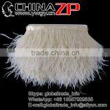 ZPDECOR No.1 Feather Supplier Feather Size 15-20 cm Beige Ostrich Feather Fringe thumbnail-1