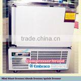 Mini Blast Freezer / Shock Freezer / Quick Freezer