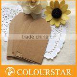 Aquous Coating Paper Tags With String Custom