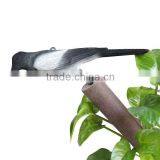 Plastic Flocked Magpie Hunting Decoy or Gadern Decoration