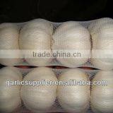 4p White Garlic 2013 thumbnail-1