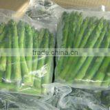 Frozen Asparagus thumbnail-5