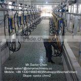 Dairy Cow Milking Equipment , Automatic Milking Parlour System