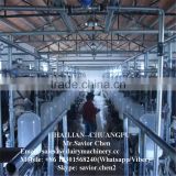 Glass Milk Meter Milking Parlor For Sale , Dairy Farm Equipment