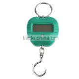 Mini Cute Handheld Food Vegatable Fruit 20kg/10g Home Digital Weight Scale thumbnail-4