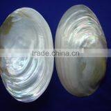Natural Polished Chinese Mother of Pearl River Shell Raw