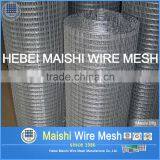 1/2" Sq Mesh Galvanized Weld Wire Mesh