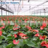 Clear Polycarbonate Sheet With Foldable Shading Net Greenhouse For Vegetables thumbnail-5