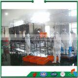 SPT Steam Used Food Blanchine Machine thumbnail-3