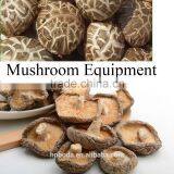 Mushroom Belt Drying Machine thumbnail-2