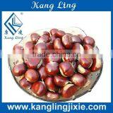 Nuts Roasting Machine/penuts Roaster Machine thumbnail-1