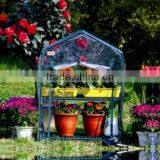 Mini Greenhouse,cheap Greenhouse,vegetable Greenhouse for Flower and Plant thumbnail-1
