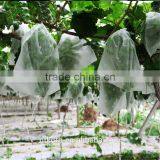 Agriculture Cover pp Spunbond Non Woven thumbnail-3