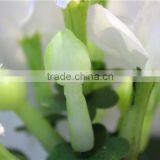 Home and Outdoor Garden Table Wedding Gate Decoration 60cm or 24inches Height Artificial Cream Bride Vine Car Flowers E04 0602 thumbnail-2