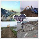Embankment Reinforcement High Strength Geocell thumbnail-1