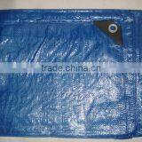 100% Virgin With uv Resistant PE Tarpaulin Transparent Tarpaulin Anti Rain Anti Sunshine Tarpaulin Cover thumbnail-5